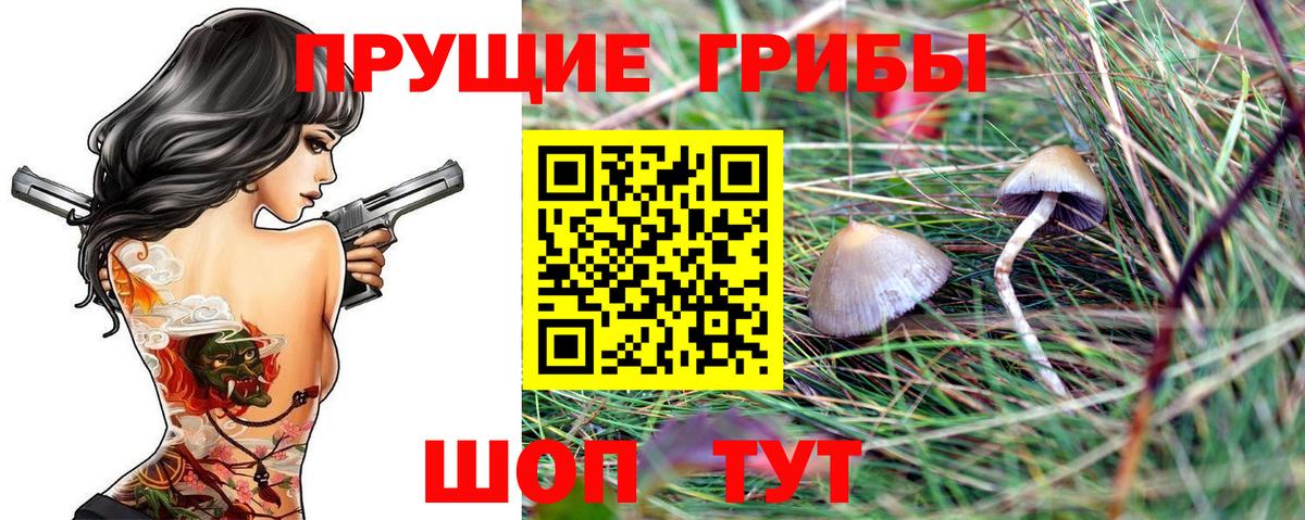 Галлюциногенные грибы мухоморы  Псилоцибиновые грибы мухоморы  Усть-Илимск  Вход с VPN 